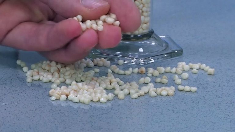 Novamont dünyanın ilk eko-plastik üretim tesisini açtı