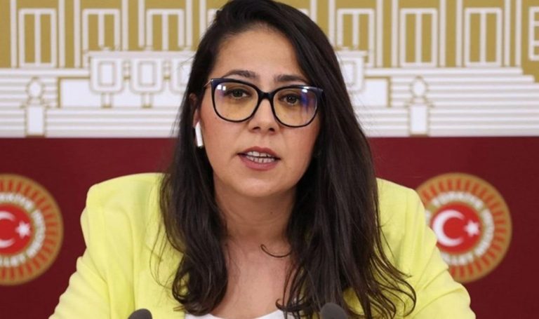 Sera Kadıgil’den Ömer Çelik’e: Faşistler düşmanımız iken ancak çırak sahibi olabilirsiniz – Son Dakika Siyasi Haberler