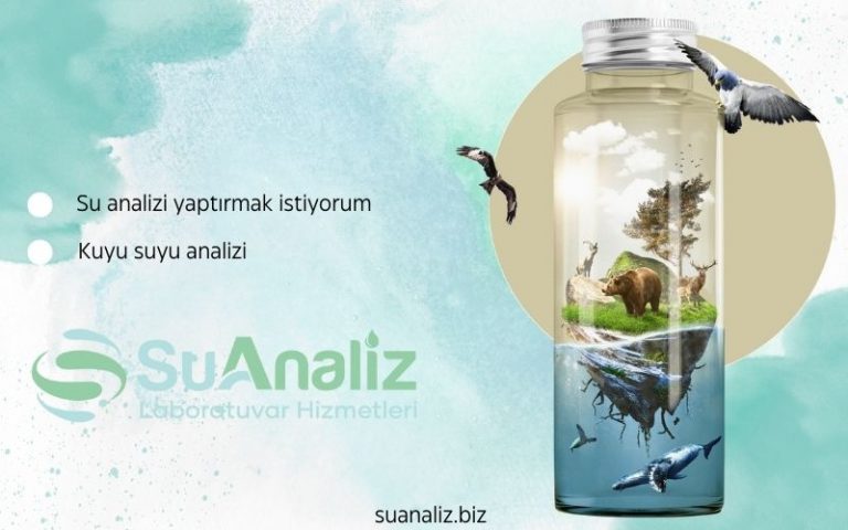 Kuyu Suyu Analizi: Sonuçların Yorumlanması ve Uygulamalar